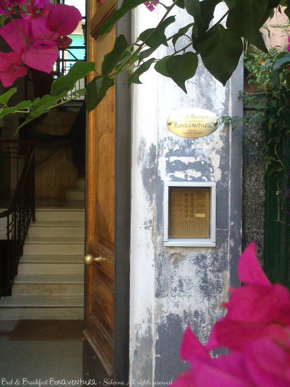 Bed & Breakfast Bonaventura Salernes Extérieur photo