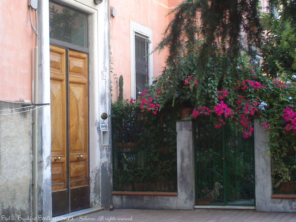 Bed & Breakfast Bonaventura Salernes Extérieur photo